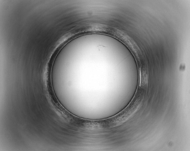 X0000103930435200809191354