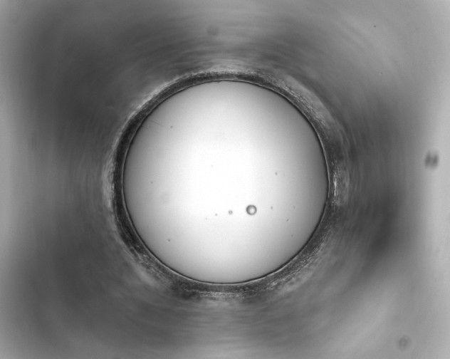X0000103930436200809191354
