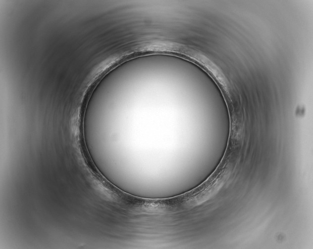 X0000103930437200809191354