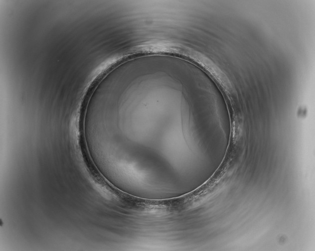 X0000103930438200809191354