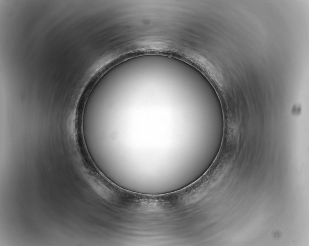 X0000103930439200809191354
