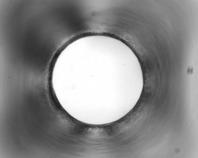 X0000103930440200809191354