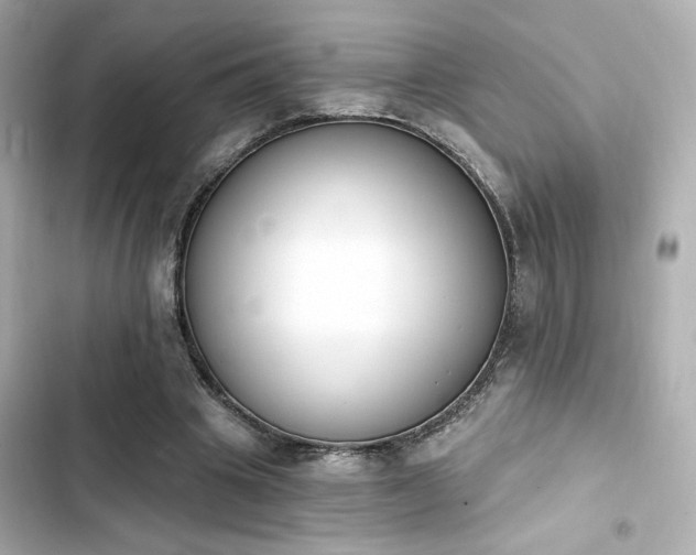 X0000103930441200809191354