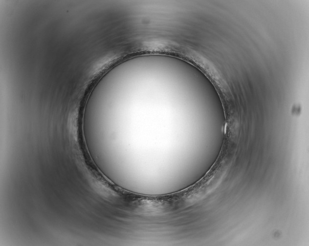 X0000103930442200809191354