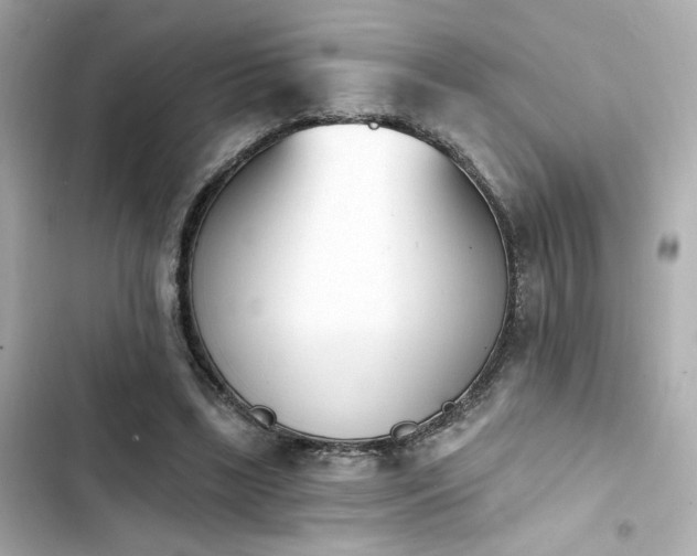 X0000103930443200809191354