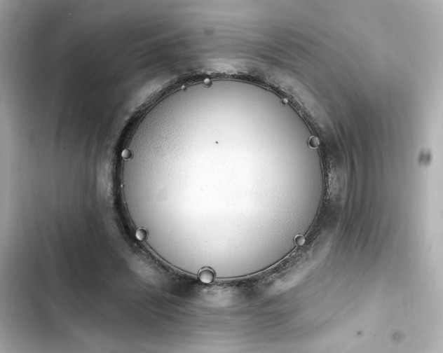 X0000103930444200809191354
