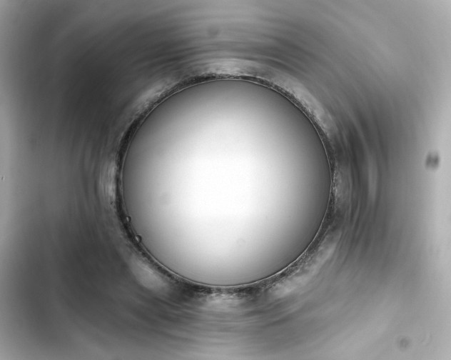 X0000103930445200809191354