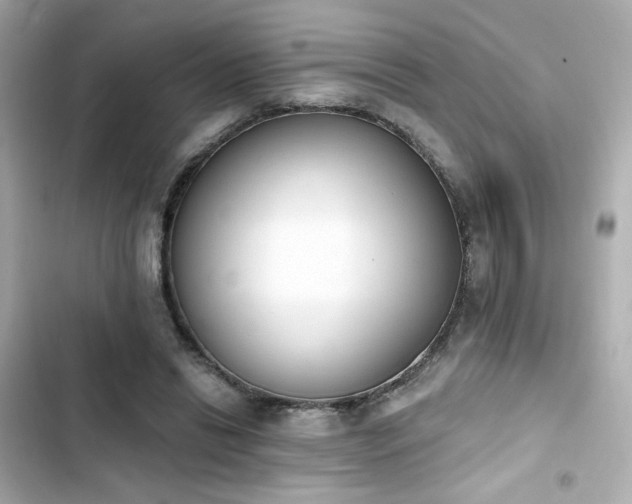 X0000103930446200809191354