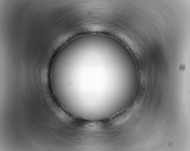 X0000103930447200809191354