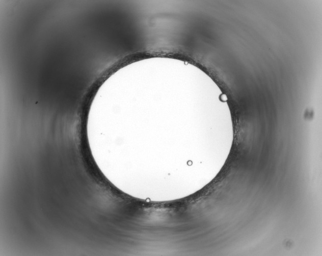 X0000103930448200809191354