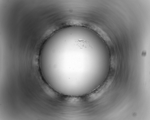 X0000103930449200809191354