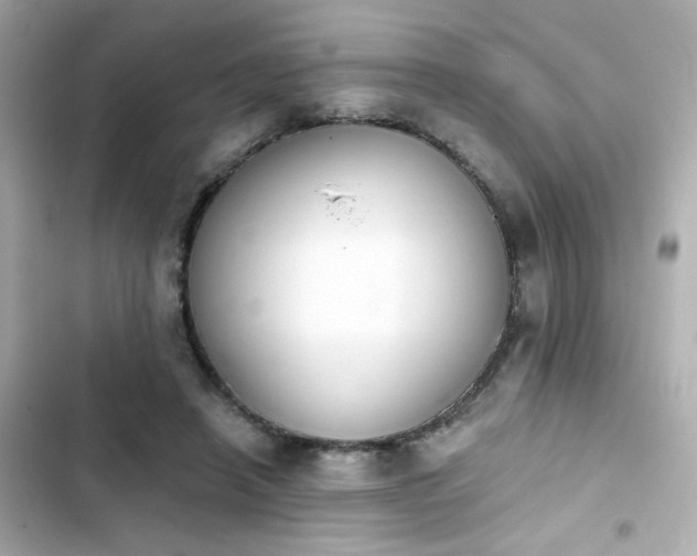 X0000103930450200809191354