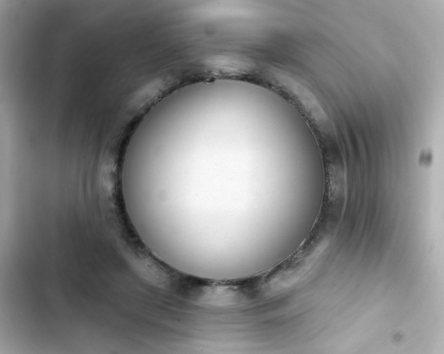 X0000103930451200809191354
