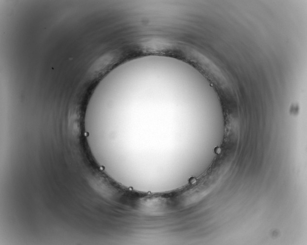X0000103930452200809191354