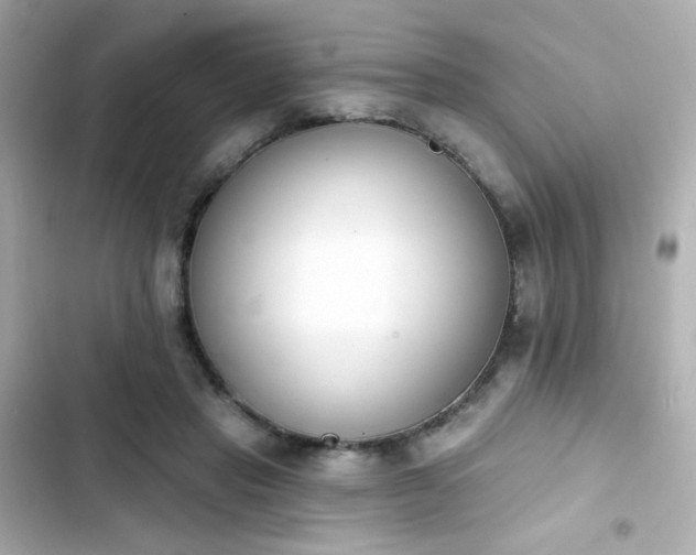 X0000103930453200809191354