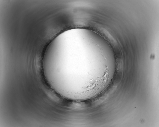 X0000103930455200809191354