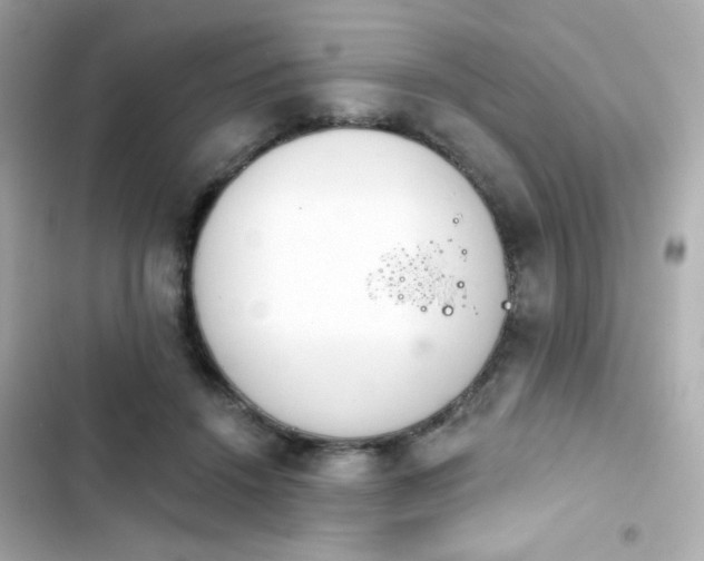 X0000103930456200809191354