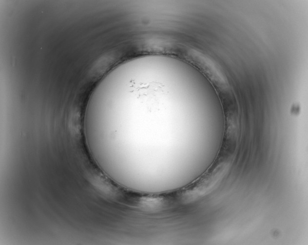 X0000103930457200809191354