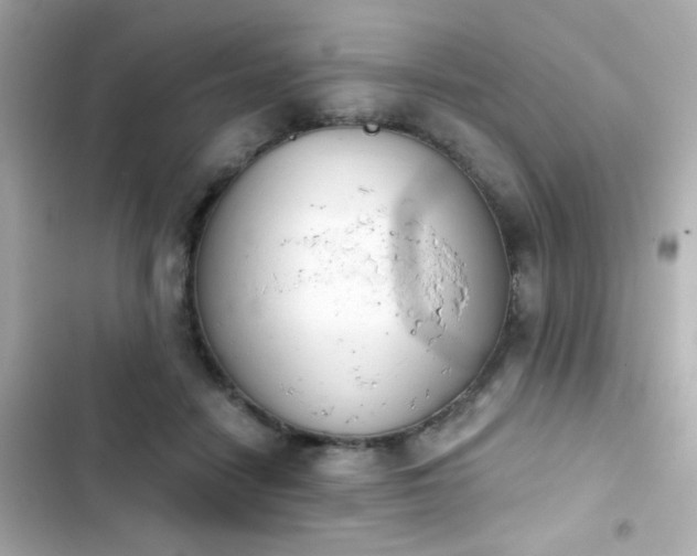 X0000103930458200809191354