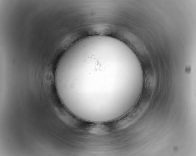 X0000103930459200809191354