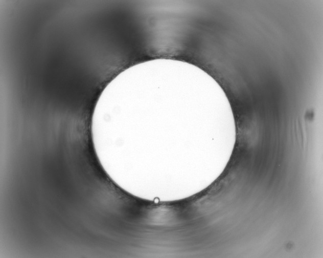 X0000103930460200809191354