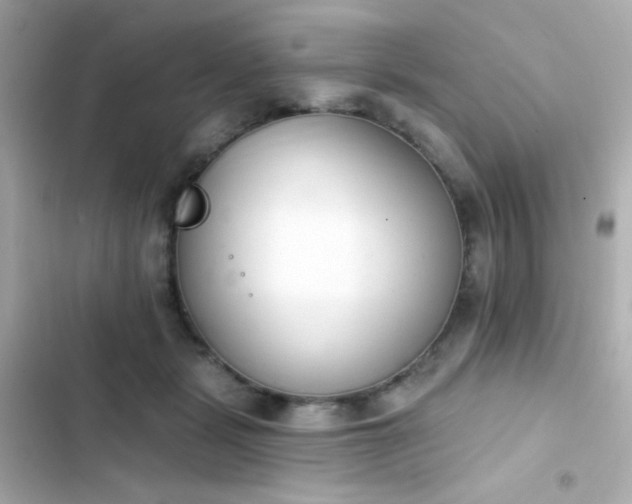 X0000103930461200809191354