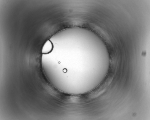X0000103930462200809191354