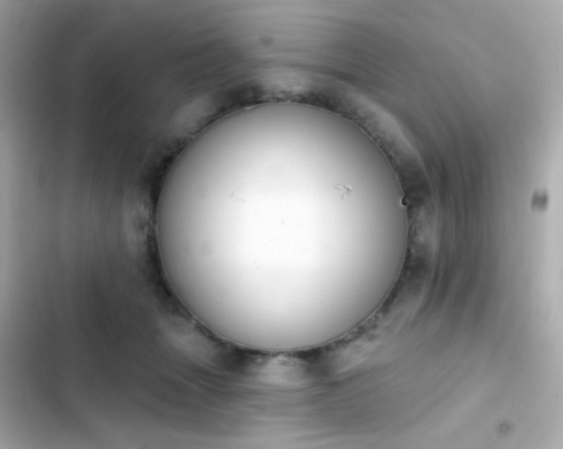 X0000103930463200809191355