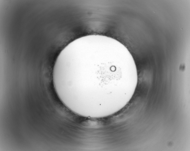 X0000103930464200809191355