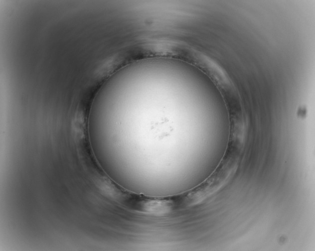 X0000103930465200809191355