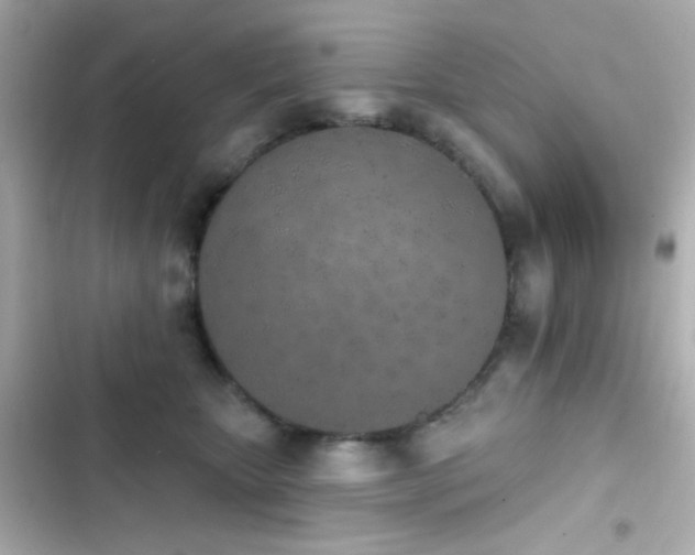 X0000103930467200809191355