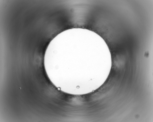 X0000103930468200809191355