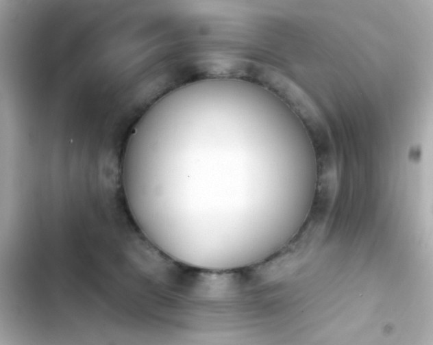 X0000103930469200809191355