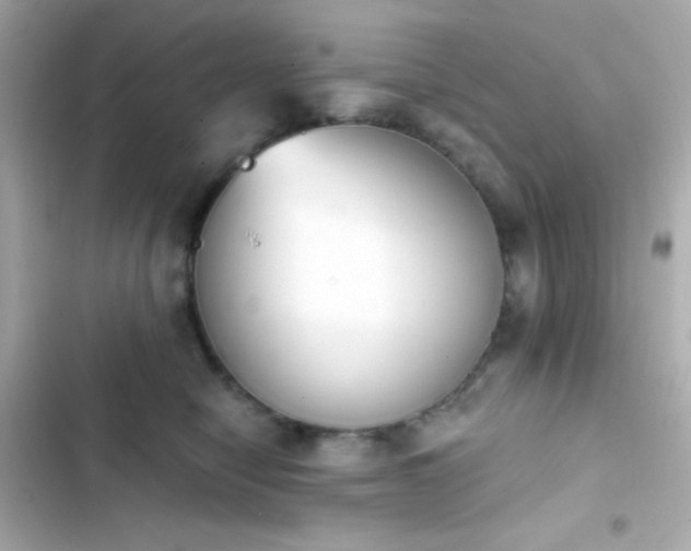 X0000103930470200809191355