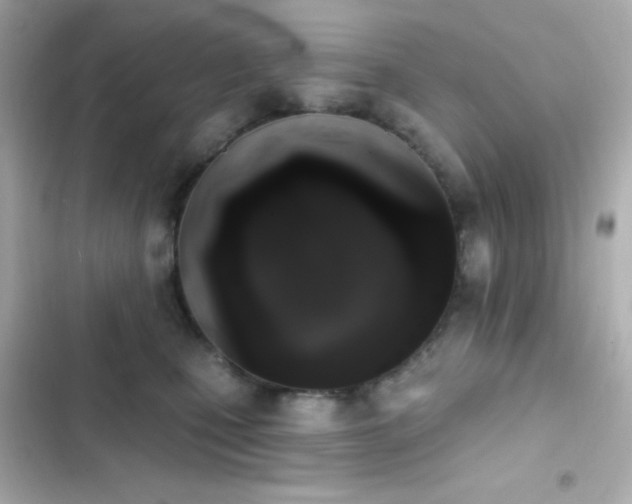 X0000103930471200809191355