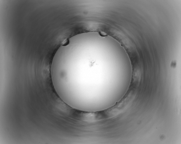 X0000103930473200809191355