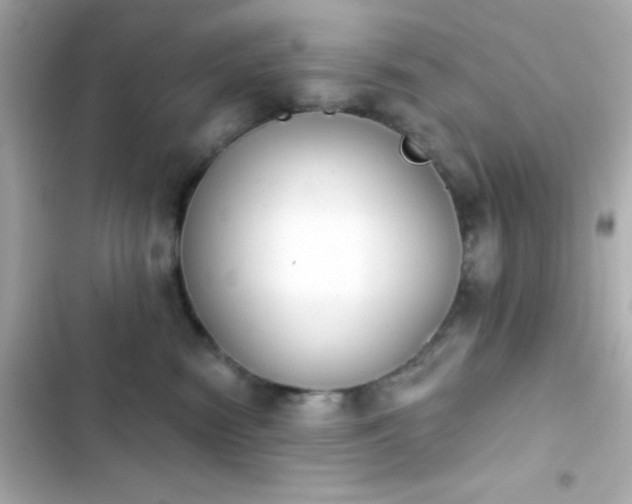X0000103930474200809191355