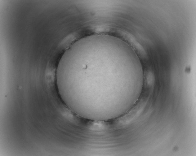 X0000103930475200809191355