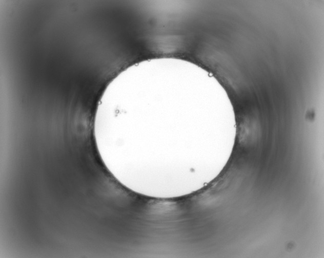 X0000103930476200809191355