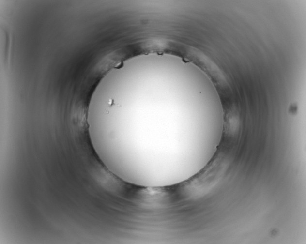 X0000103930477200809191355