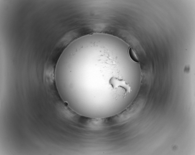 X0000103930479200809191355
