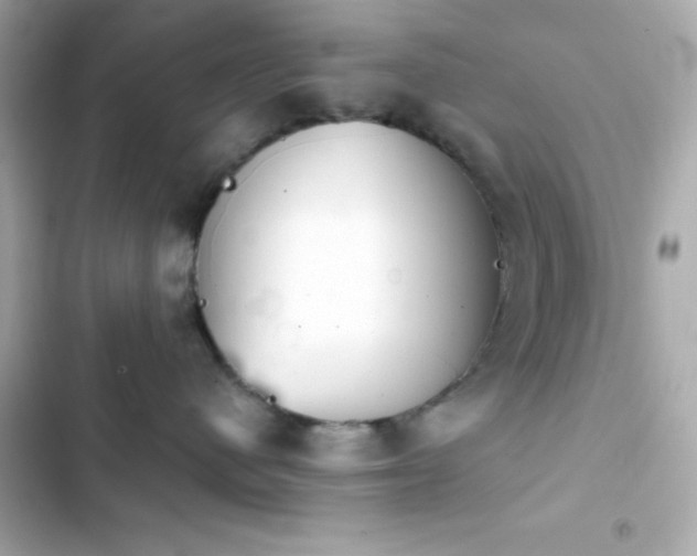 X0000103930480200809191355