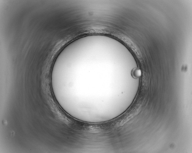 X0000103930481200809191354