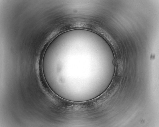 X0000103930482200809191354