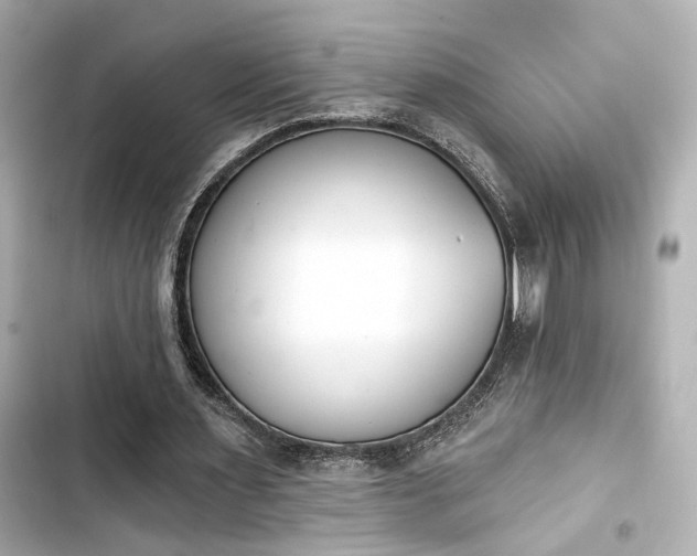 X0000103930483200809191354