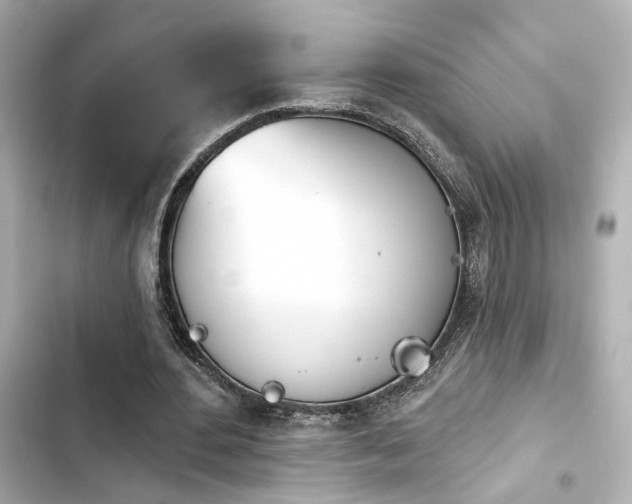 X0000103930484200809191354