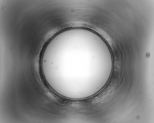 X0000103930485200809191354