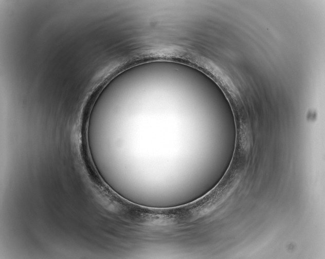 X0000103930486200809191354