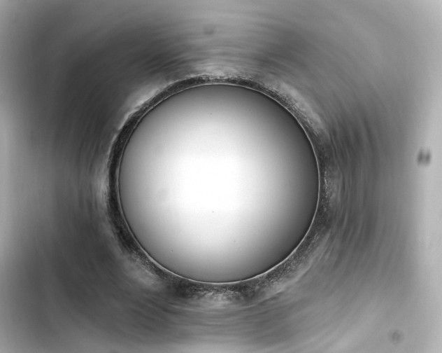 X0000103930488200809191354