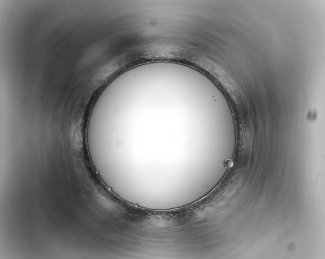 X0000103930489200809191354